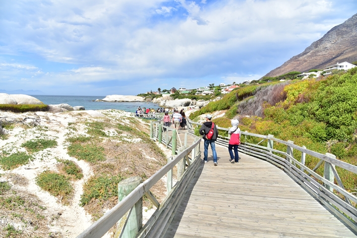 boulders beach (1)