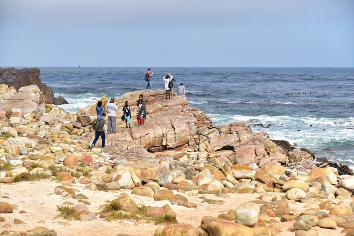 cape of good hope (11)