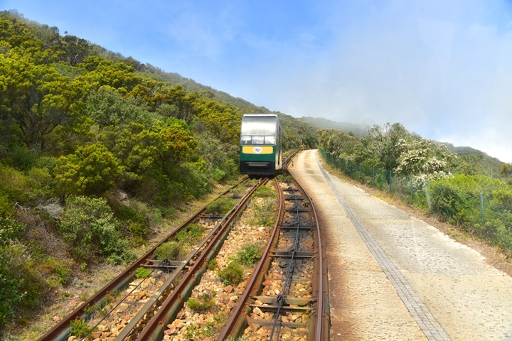 cape of good hope (3)