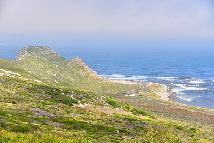 cape of good hope (4)