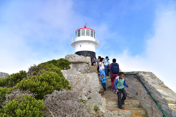 cape of good hope (5)