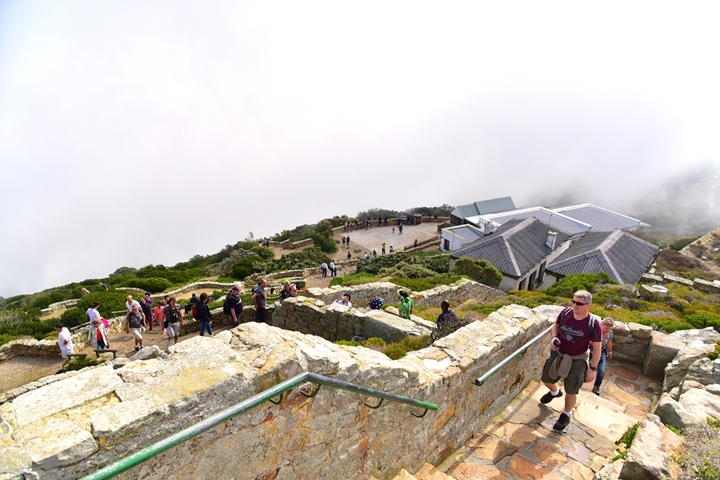 cape of good hope (7)