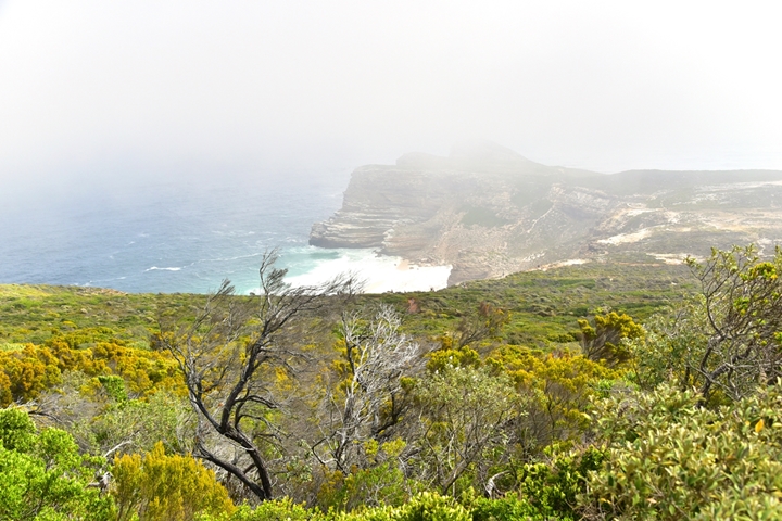 cape of good hope (9)