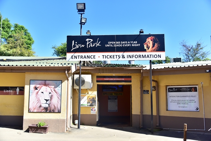 lion park (3)
