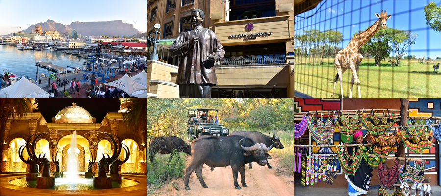 south african trip