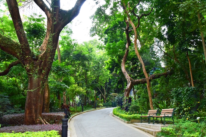 hong-kong-parks-11