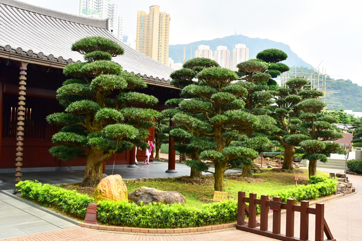nan-lian-garden-2