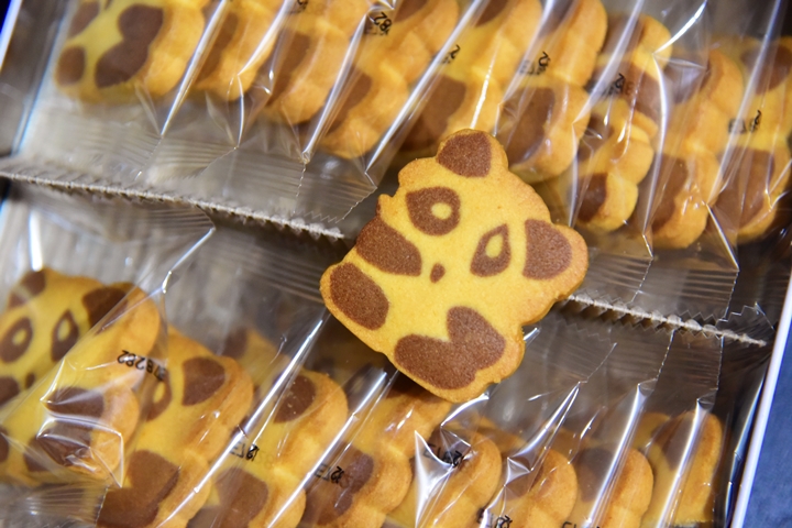 panda-cookies-3